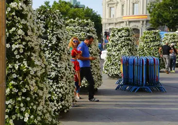 Bandos, banderolas y flores en las calles de Madrid para honrar los 10 años de la proclamación de Felipe VI