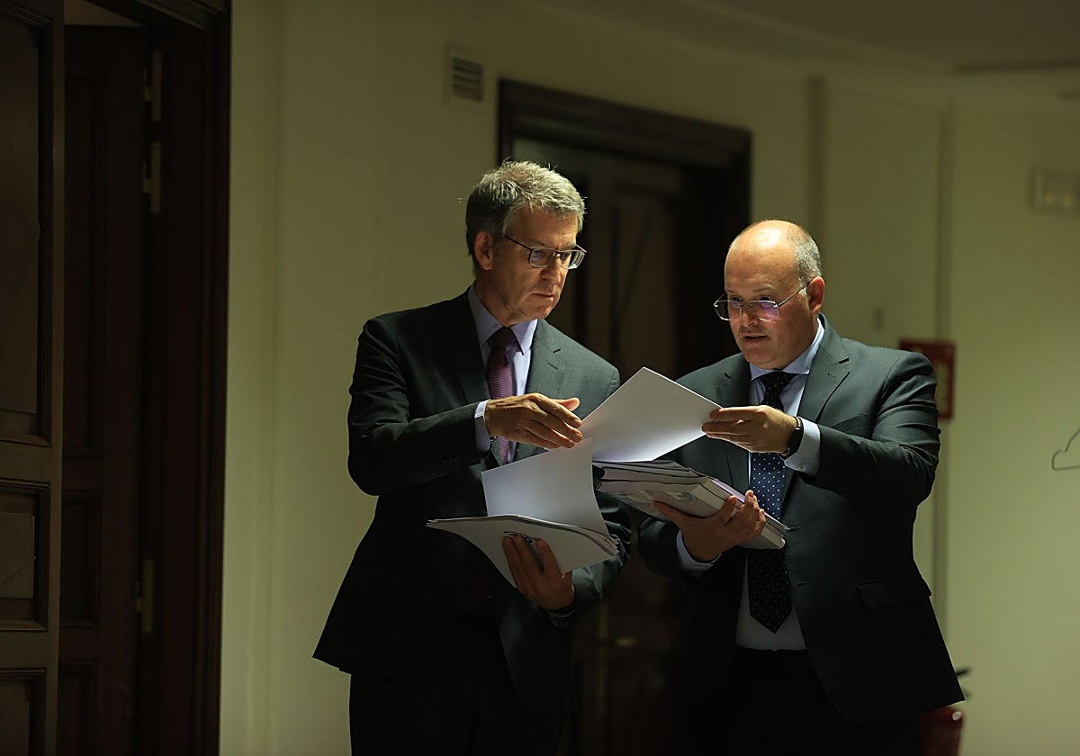 El presidente del PP, Alberto Núñez Feijóo, intercambia papeles con su portavoz en el Congreso, Miguel Tellado