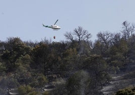 Controlado el incendio forestal declarado en Fuente Obejuna