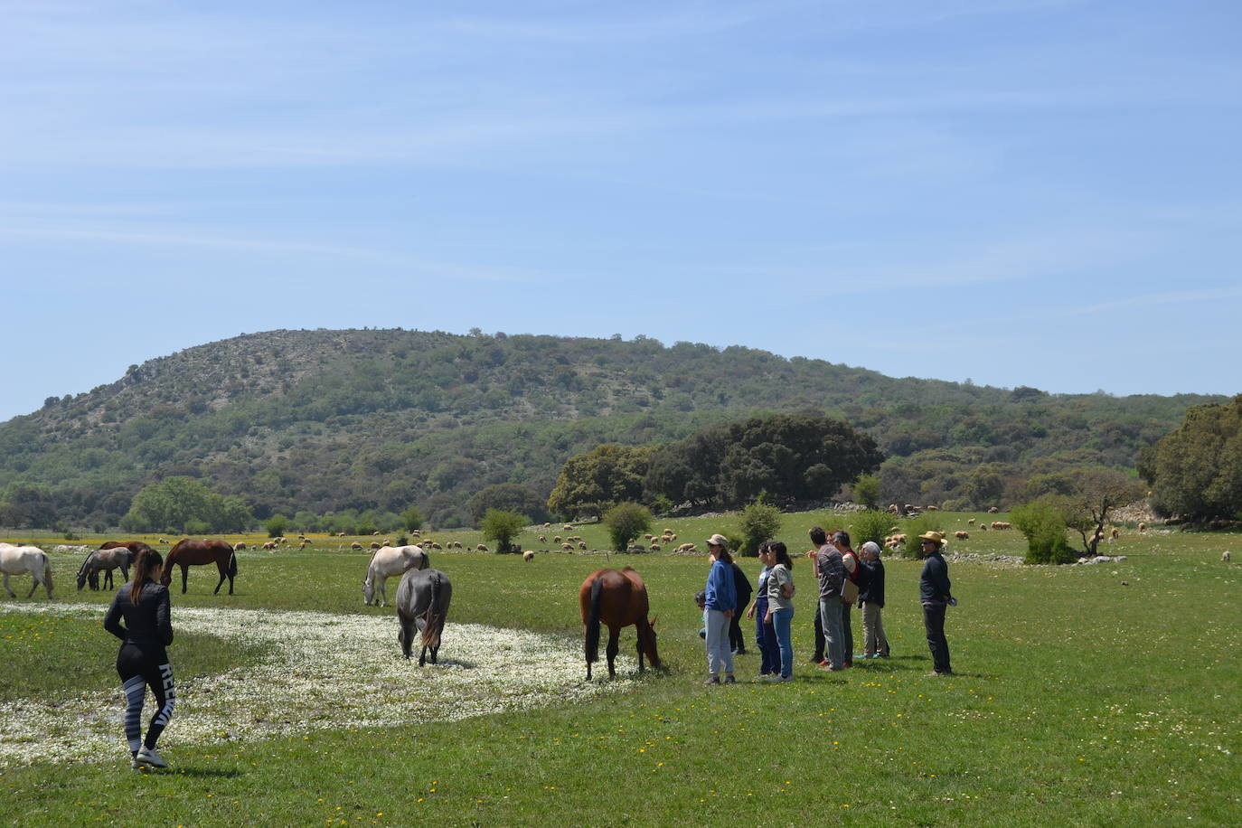 Las mejores imágenes del mágico Geoparque de las Sierras Subbéticas de Córdoba