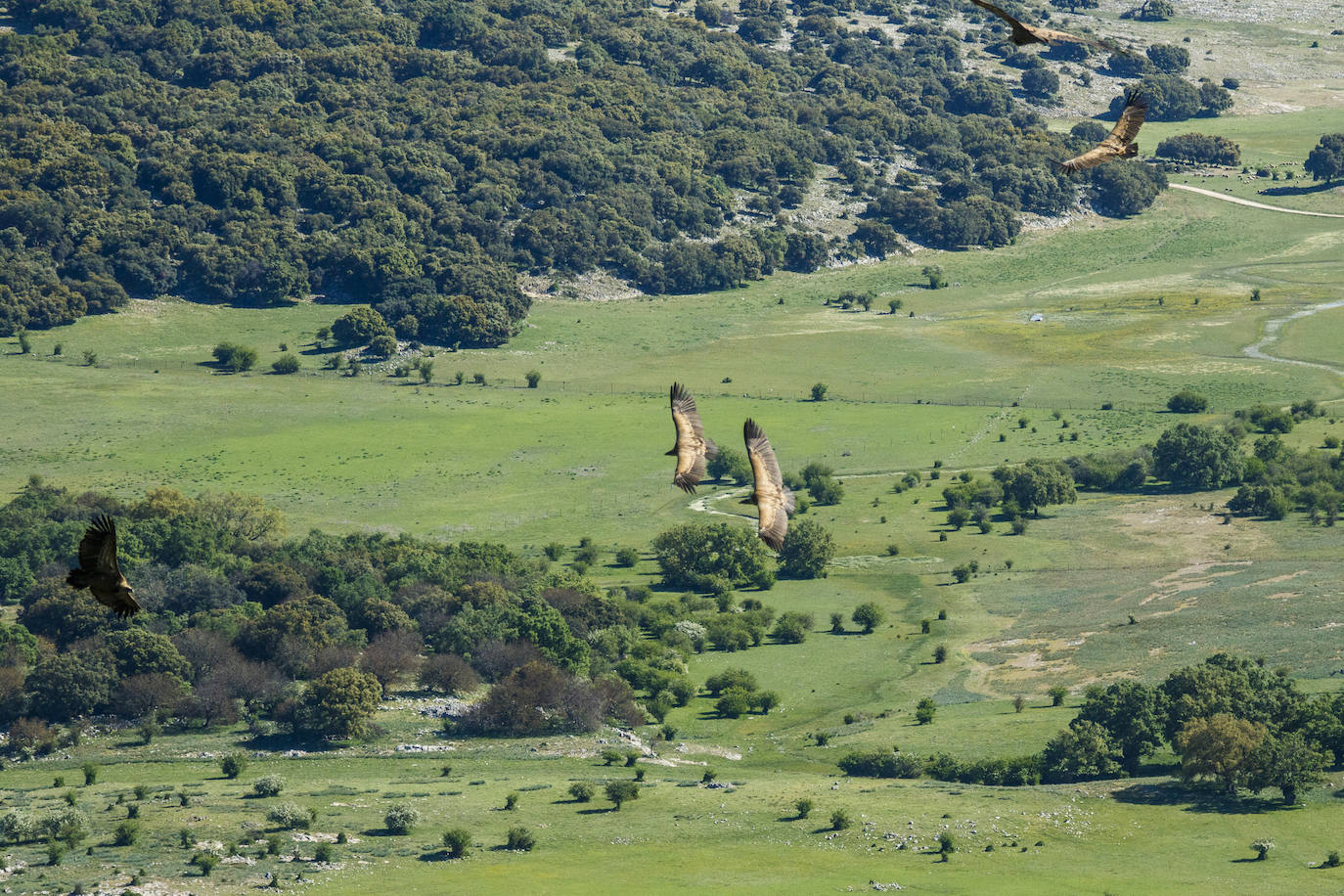 Las mejores imágenes del mágico Geoparque de las Sierras Subbéticas de Córdoba