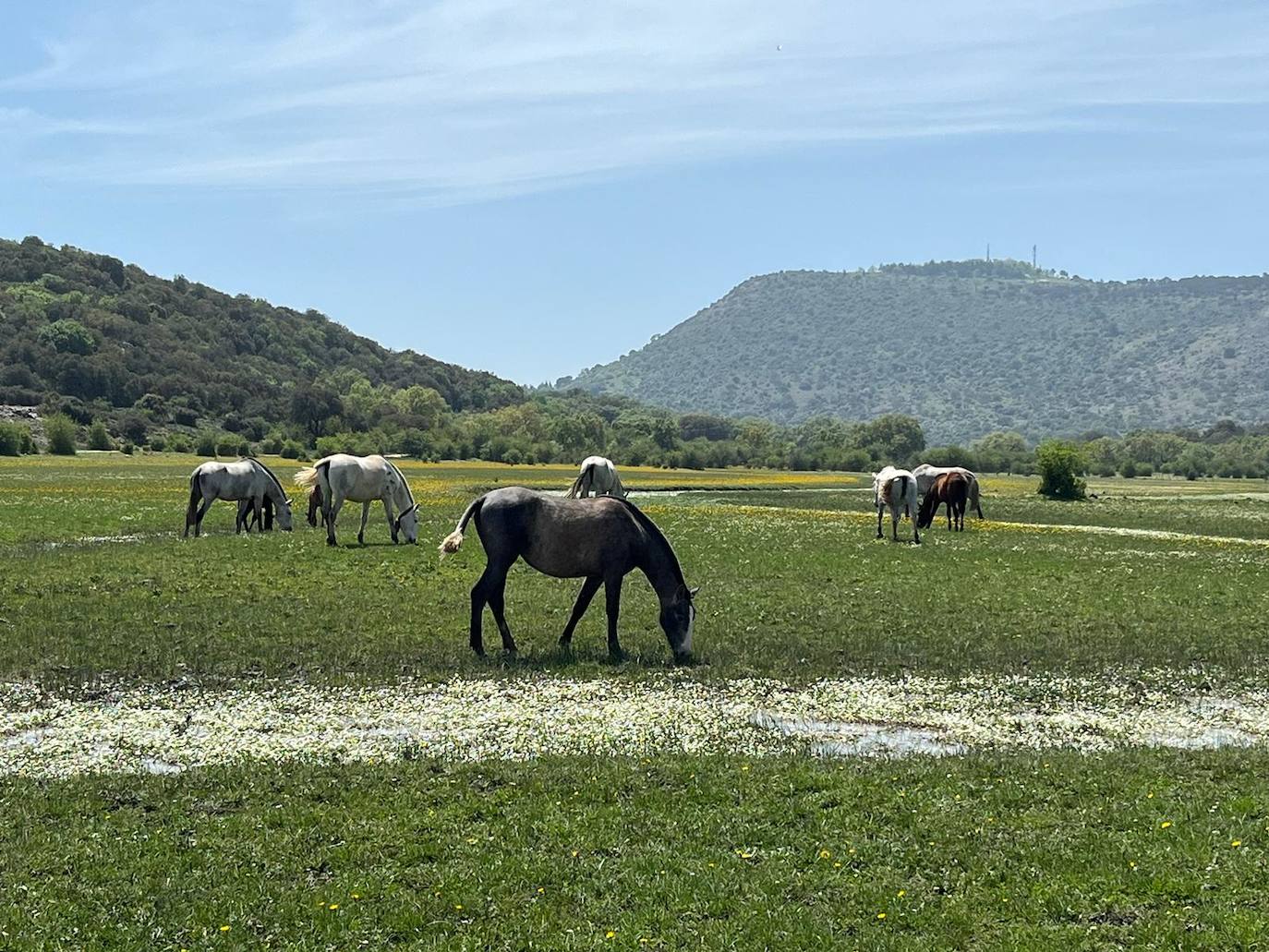 Las mejores imágenes del mágico Geoparque de las Sierras Subbéticas de Córdoba