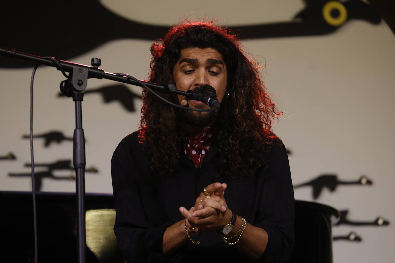 Las mejores imágenes de los conciertos de la Noche Blanca del Flamenco de Córdoba