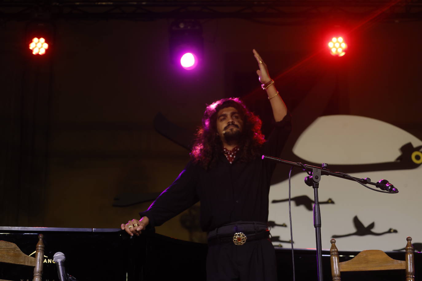 Las mejores imágenes de los conciertos de la Noche Blanca del Flamenco de Córdoba