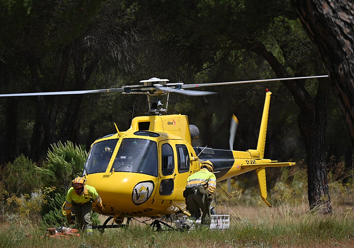 Simulacro de incendio forestal, este lunes en el Pinar de Antequera (Valladolid)