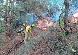 Aumenta el número de hectáreas quemadas por incendios en Andalucía