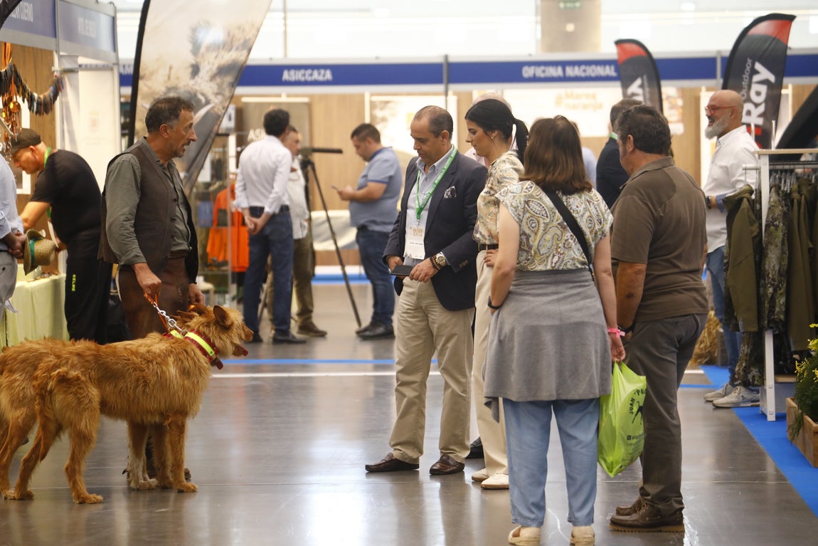 Las imágenes de Intercaza en su nueva ubicación del Centro de Ferias y Convenciones de Córdoba