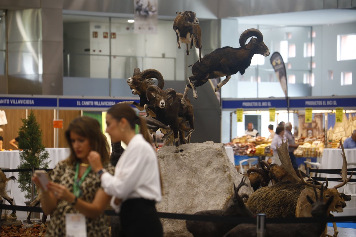 Las imágenes de Intercaza en su nueva ubicación del Centro de Ferias y Convenciones de Córdoba