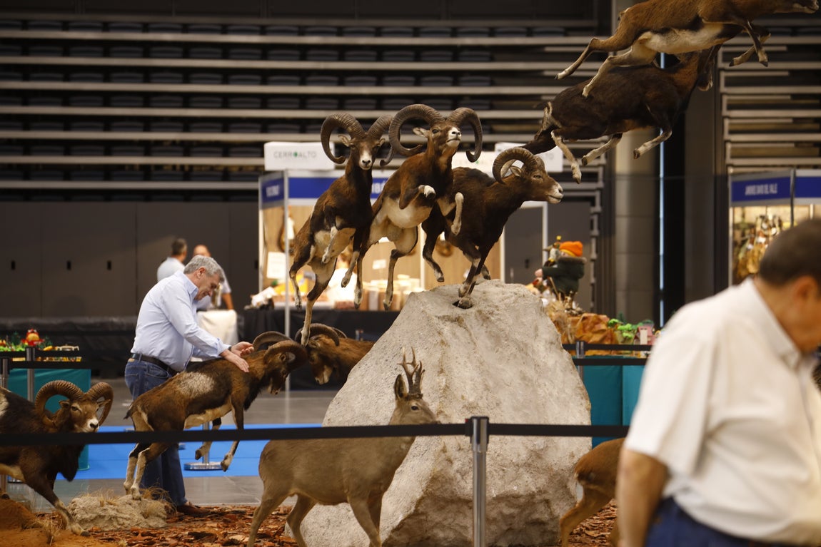 Las imágenes de Intercaza en su nueva ubicación del Centro de Ferias y Convenciones de Córdoba