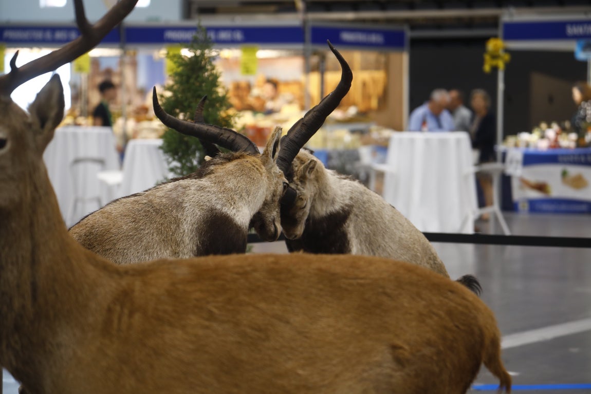 Las imágenes de Intercaza en su nueva ubicación del Centro de Ferias y Convenciones de Córdoba