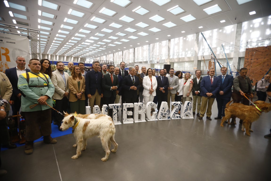 Las imágenes de Intercaza en su nueva ubicación del Centro de Ferias y Convenciones de Córdoba