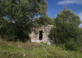 El Ayuntamiento de Lucena ultima la adquisición del yacimiento arqueológico de Morana