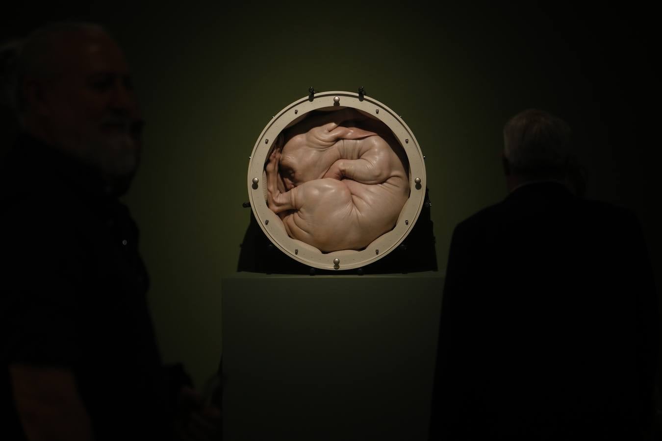 Las imágenes de la exposición sobre artistas figurativos en la Sala Vimcorsa