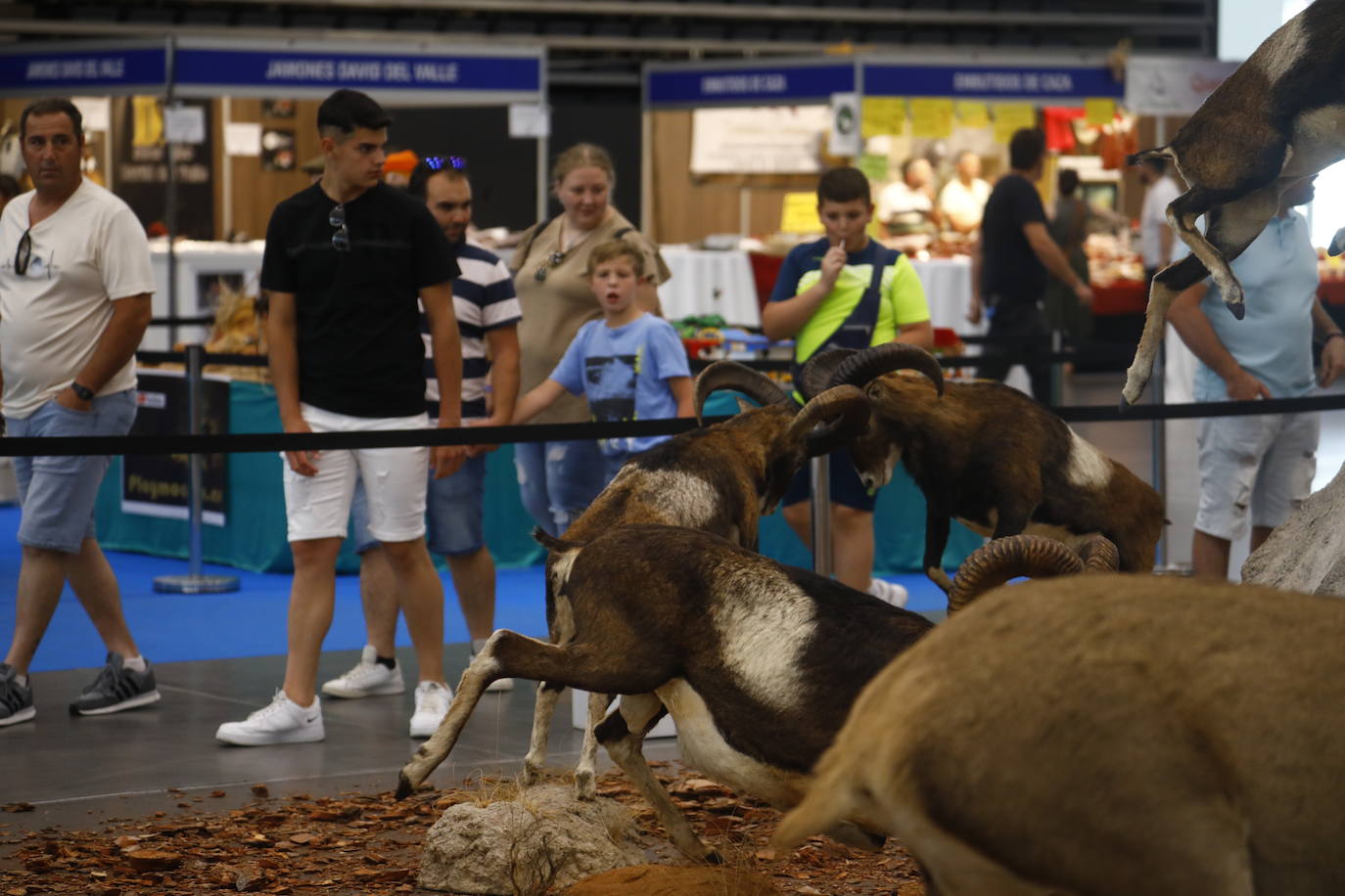 Fotos: el animado ambiente en Intercaza en Córdoba