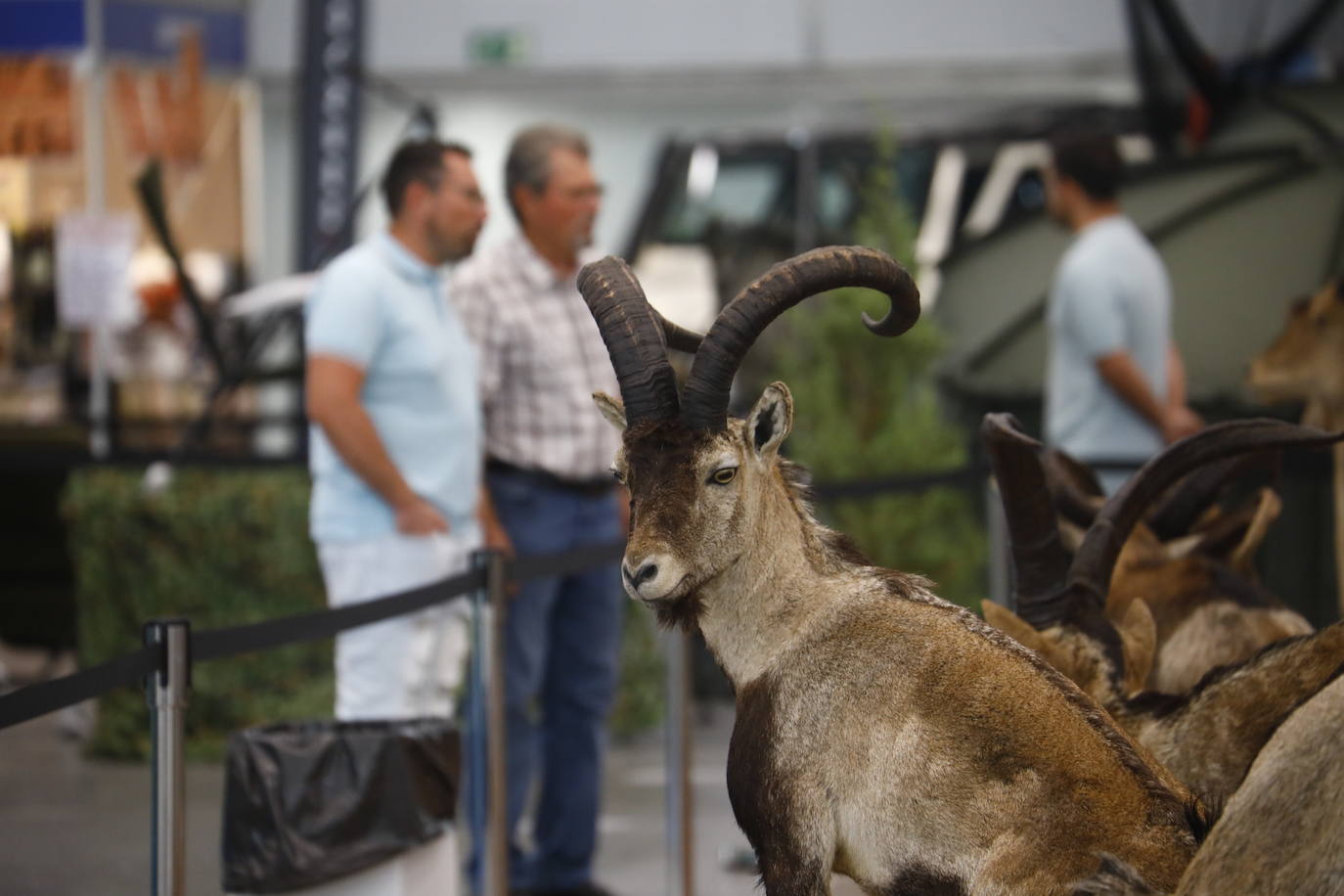 Fotos: el animado ambiente en Intercaza en Córdoba