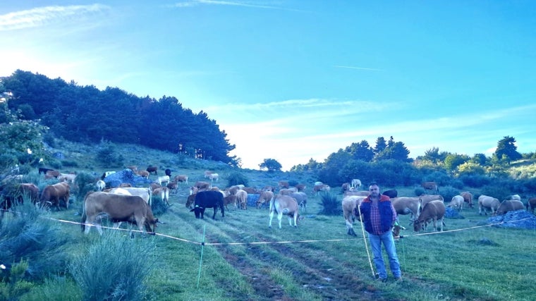 Antonio Canas, con sus vacas en Villardeciervos (Zamora)