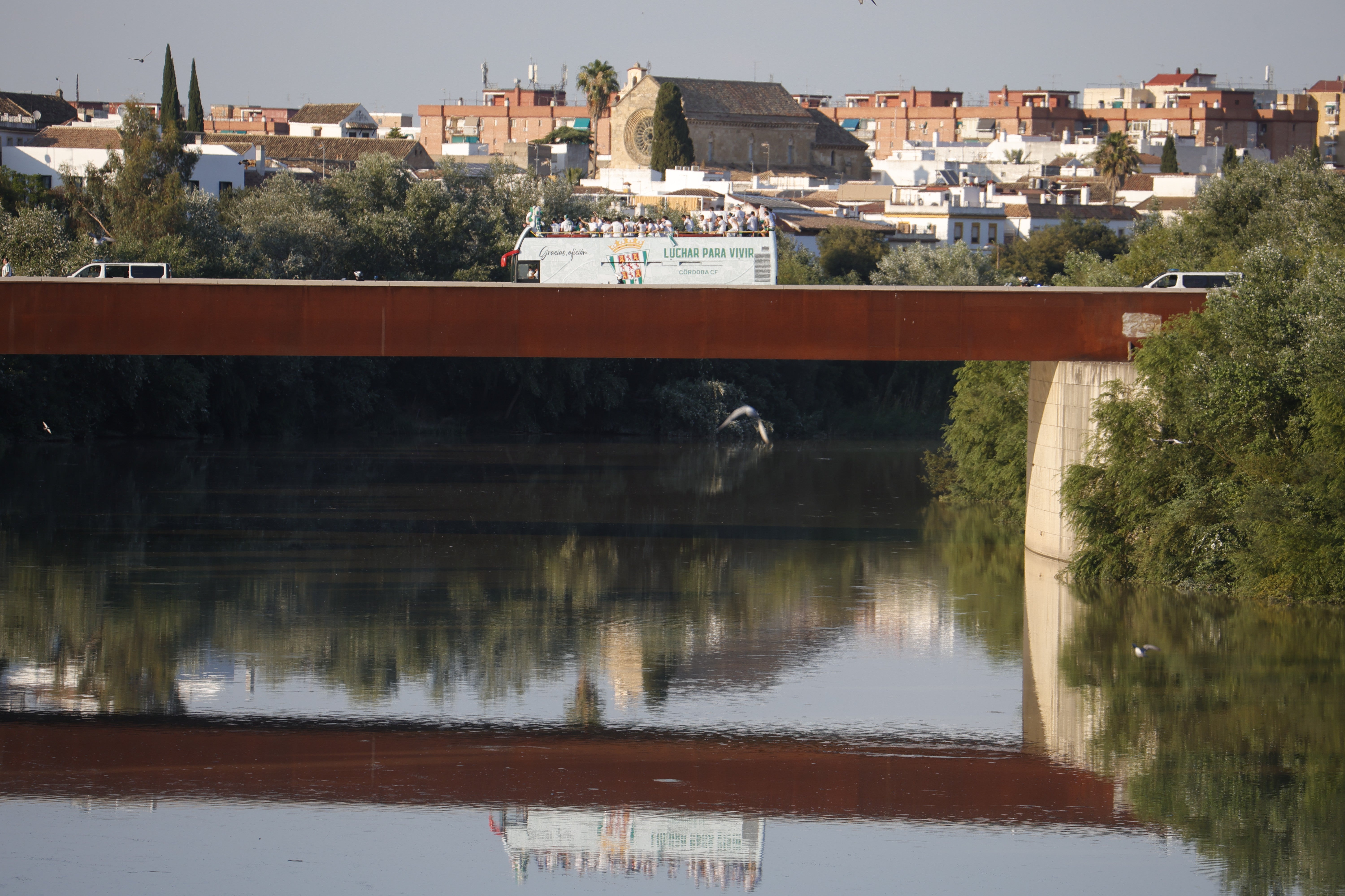Las imágenes de la multitudinaria rúa del Córdoba CF por las calles