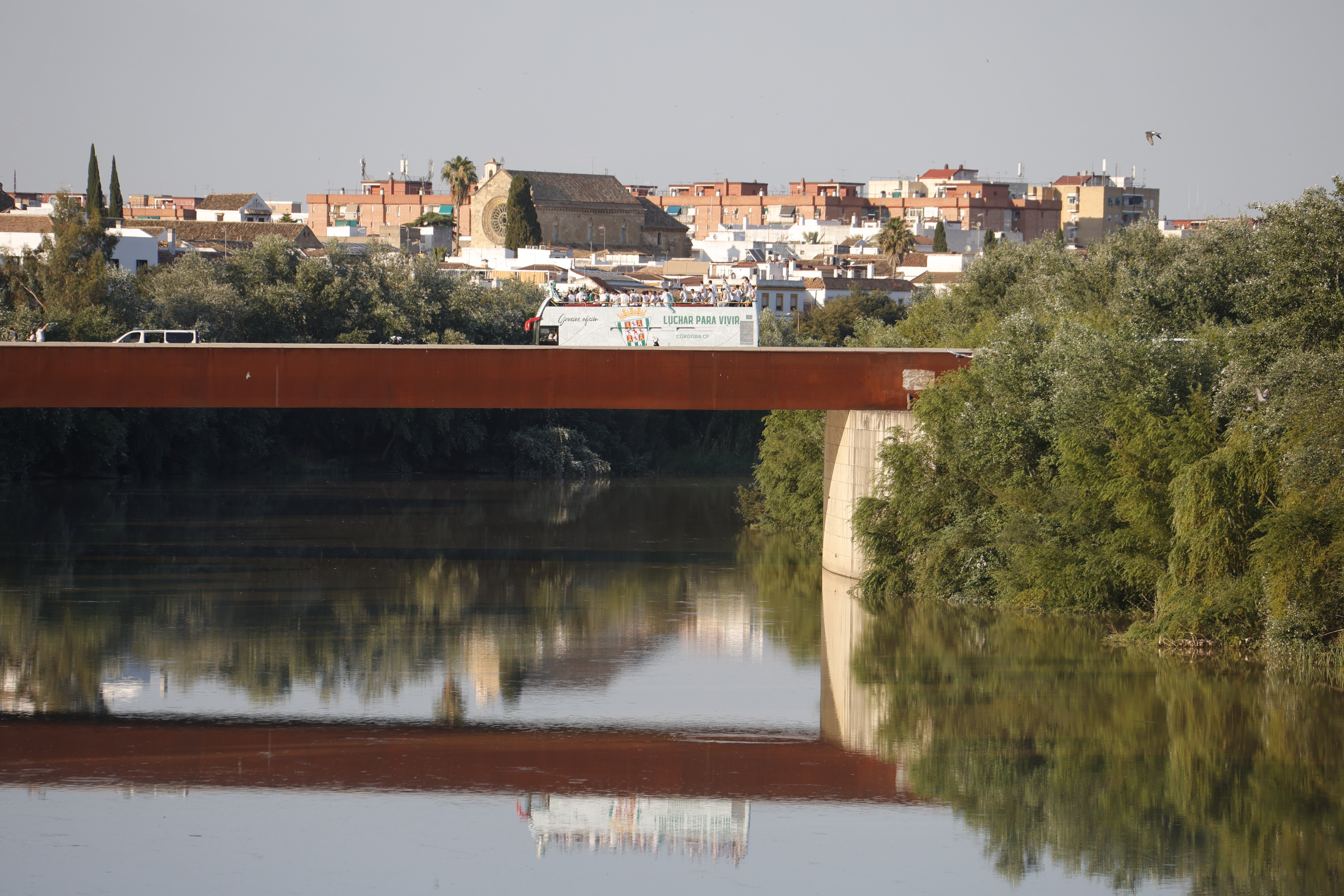 Las imágenes de la multitudinaria rúa del Córdoba CF por las calles