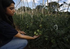 Una empresa para ofrecer la excelencia de los pequeños productores del campo cordobés