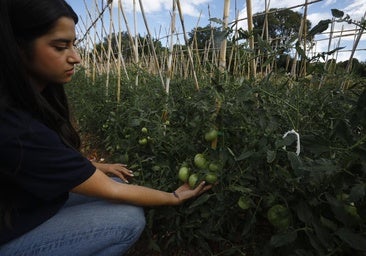 Una empresa para ofrecer la excelencia de los pequeños productores del campo