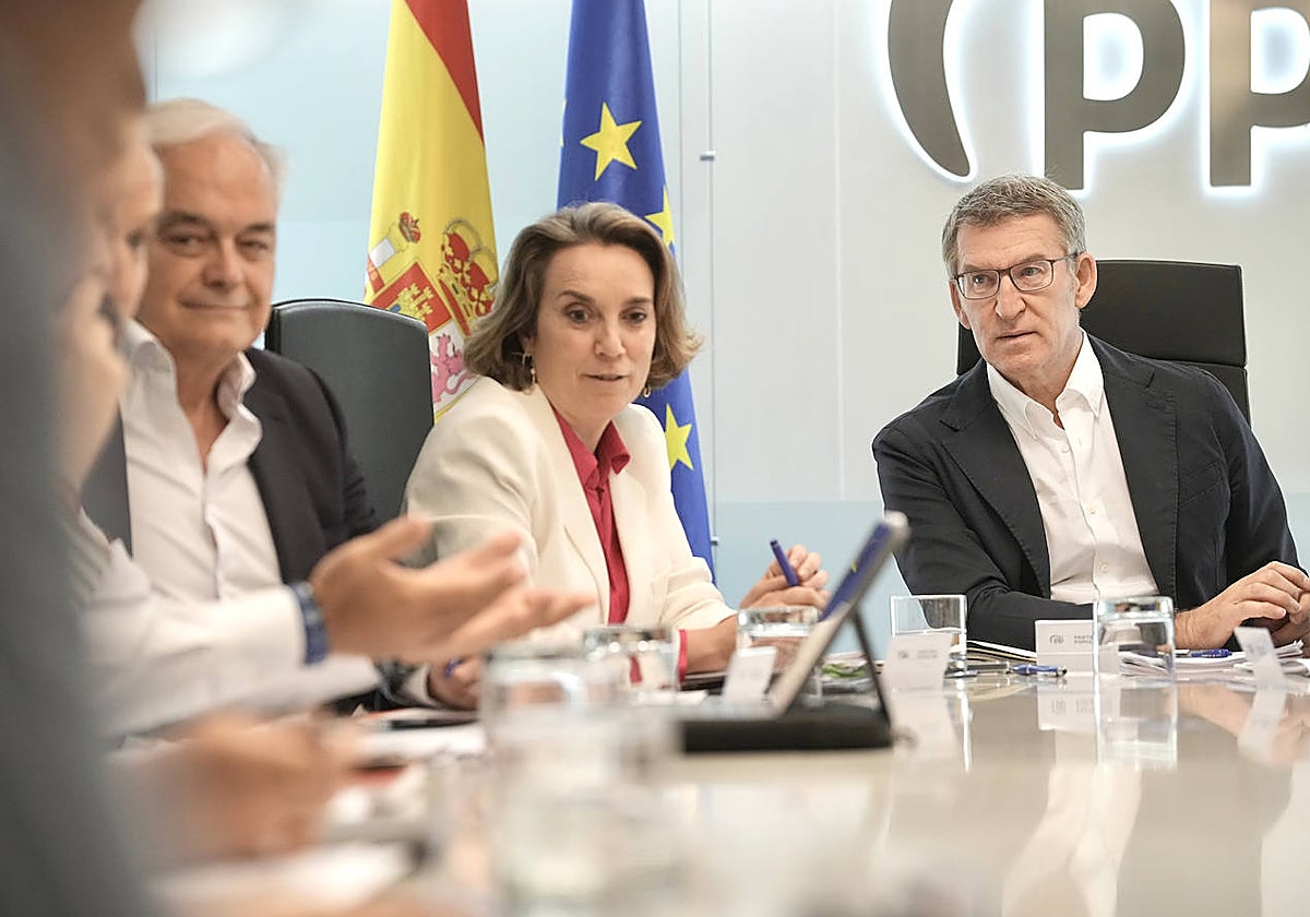 El líder del PP, Alberto Núñez, junto a la secretaria general, Cuca Gamarra