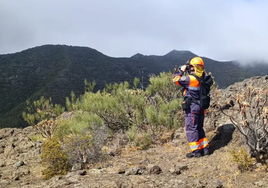 Una unidad especializada se desplaza a Tenerife para unirse a la búsqueda del joven británico desaparecido