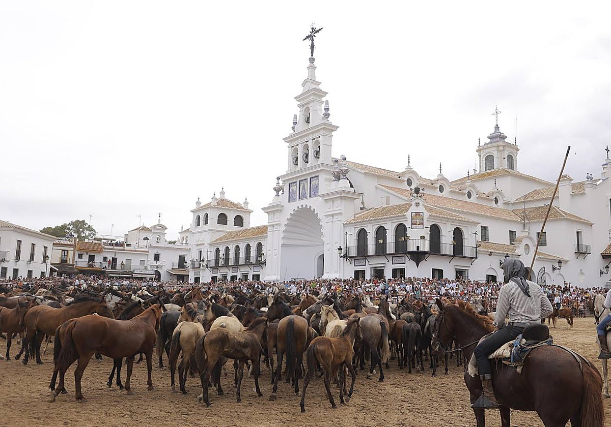 Espectaculares imágenes de la Saca de las Yeguas a su paso por El Rocío