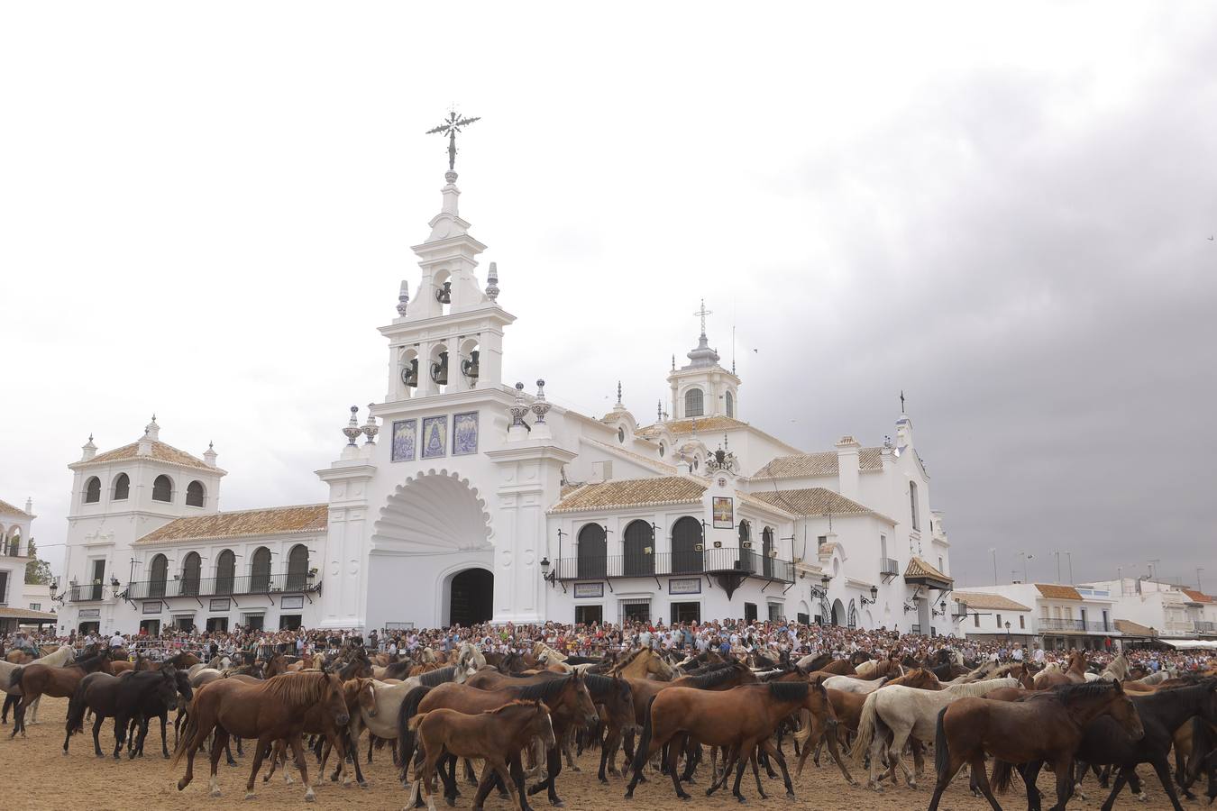 Espectaculares imágenes de la Saca de las Yeguas a su paso por El Rocío