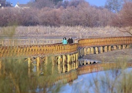 WWF pide acabar con la sobreexplotación y el robo del agua en Las Tablas de Daimiel