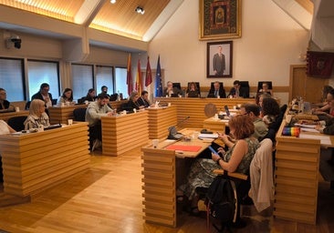 El pleno del Ayuntamiento de Ciudad Real insta al Gobierno de España a mantener la conexión de tren con Granada