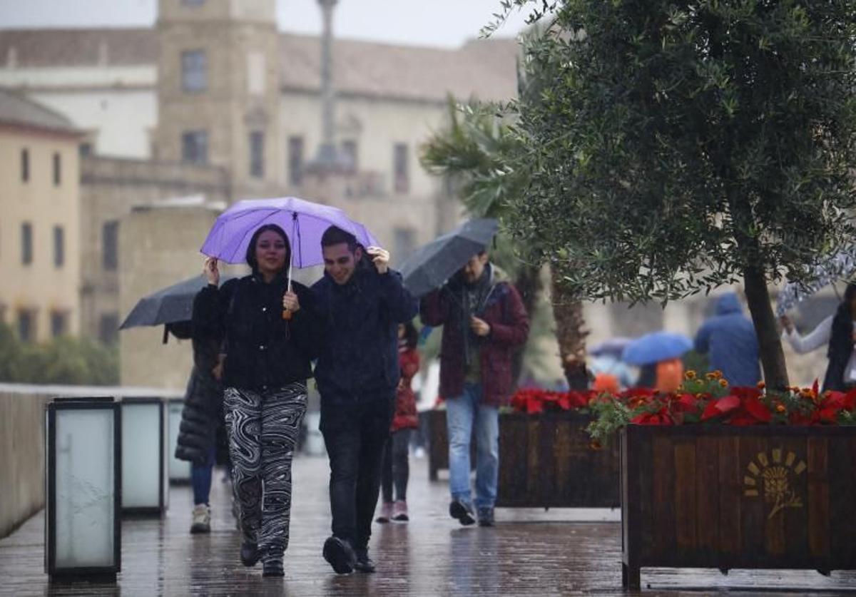 Varios viandantes se protegen con paraguas de la lluvia en Córdoba