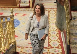 Teresa Ribera formaliza su renuncia al escaño de eurodiputada y la JEC cita ya a su sustituta