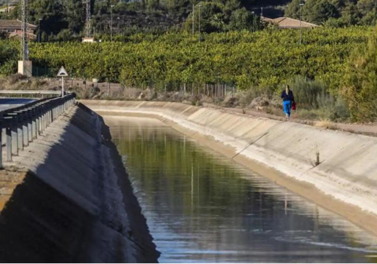 Conducción del trasvase Tajo-Segura en tierras de regadío levantinas