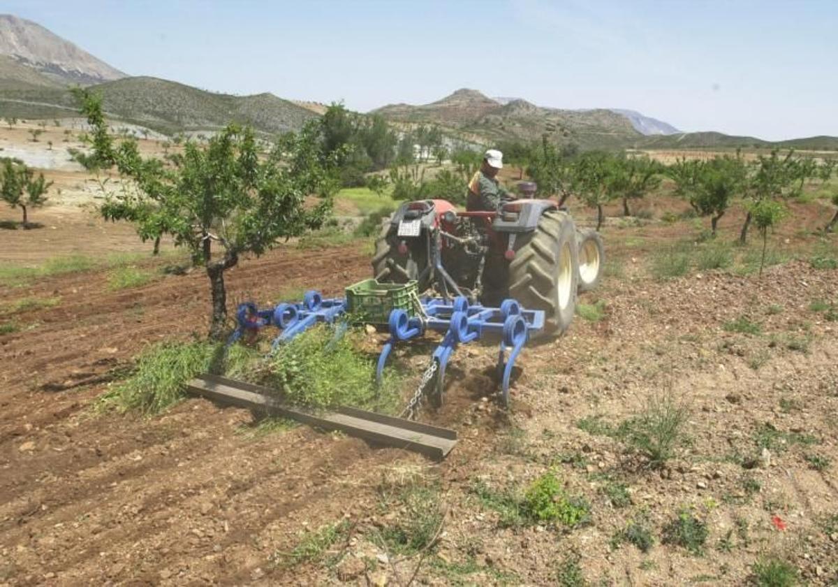 Un agricultor trabajando en el campo