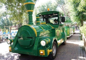 El tren eléctrico del zoo: un recorrido sostenible por los ecosistemas