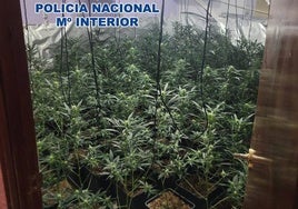 Una nave en La Gineta destapa una red criminal dedicada a la marihuana y con armas de la guerra de los Balcanes