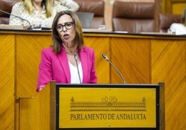 La nueva ley de vivienda de Andalucía pretende contrarrestar la norma estatal y reducir el déficit de nuevas promociones