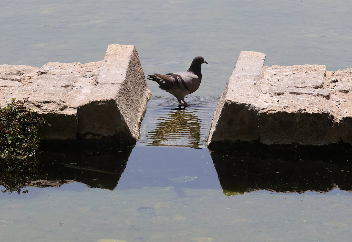 La primera ola de calor del verano en Córdoba, en imágenes