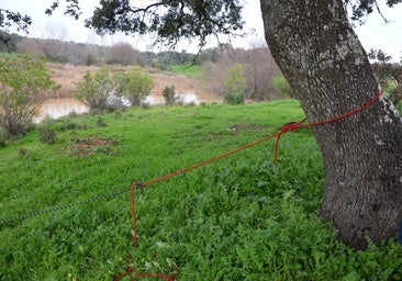 Imputan también al sargento que eligió y colocó la cuerda para cruzar el lago