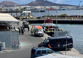 Detenidos los tripulantes de un barco que transportaba vacas en un operativo antidroga en Canarias