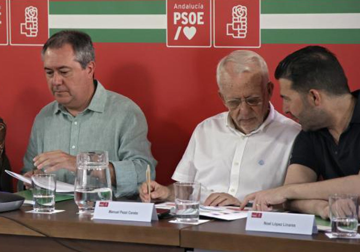 Juan Espadas, Manuel Pezzi y Noel López, en una Ejecutiva Regional del PSOE