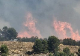 Siete medios y 25 personas trabajan en la extinción de un incendio en Borox