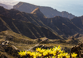 Ecotasa en Tenerife: el barranco de Masca será 'de pago' desde este viernes