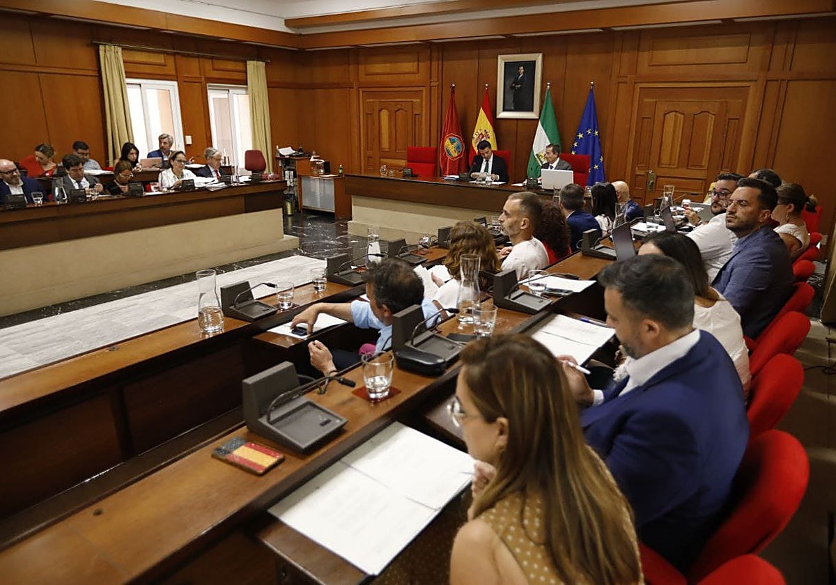 Panorámica del Pleno del Ayuntamiento de Córdoba en la sesión de este jueves