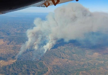 Incendio en Córdoba: amplio dispositivo por un fuego en la zona del campo de tiro de Cerro Muriano
