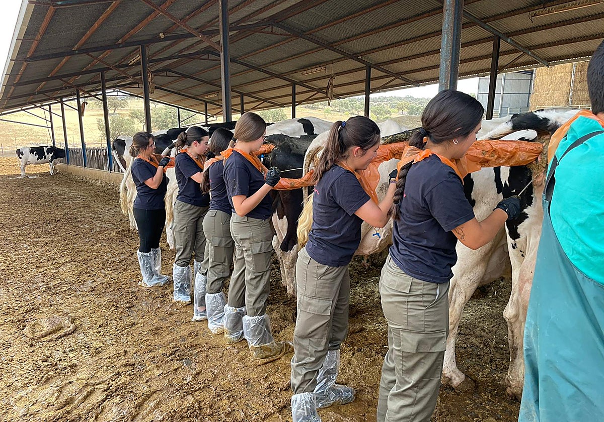 Alumnos de Ganadería y Sanidad Animal en un grado de FP en Pozoblanco