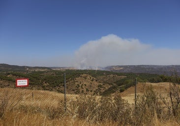 La lucha del operativo del Infoca con el complejo incendio de Obejo, en imágenes