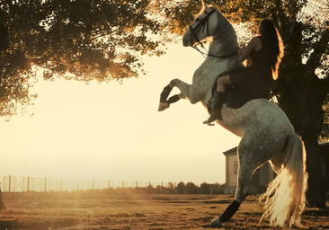 'Potra Salvaje', el talismán segoviano de la selección en la Eurocopa