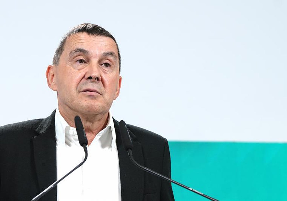 El coordinador general de EH BIldu, Arnaldo Otegi