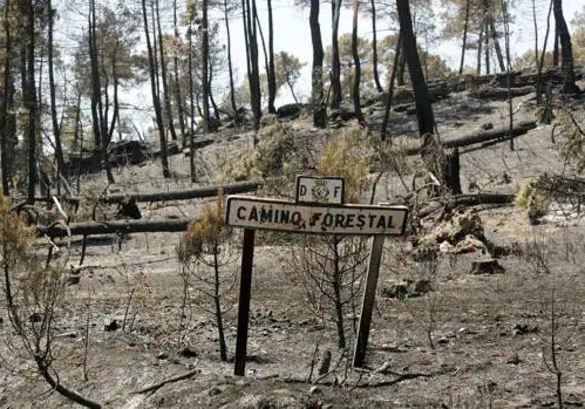 El Gobierno de Castilla-La Mancha recuerda a las 11 víctimas del incendio de Guadalajara y sus familias